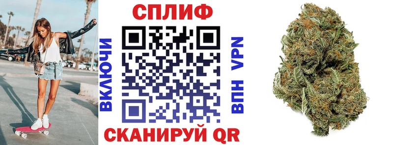 Купить закладки  Берёзовский  Бошки Шишки гибрид 
